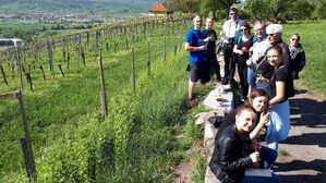 Die Gruppe blickt vom Grafenberg auf Schorndorf